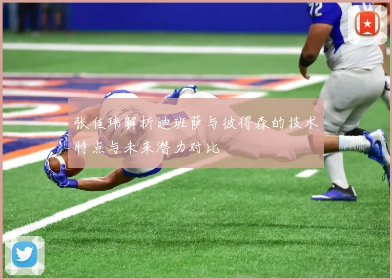 张佳玮解析迪班萨与彼得森的技术特点与未来潜力对比