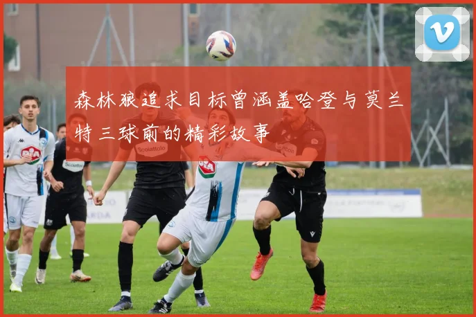 森林狼追求目标曾涵盖哈登与莫兰特三球前的精彩故事